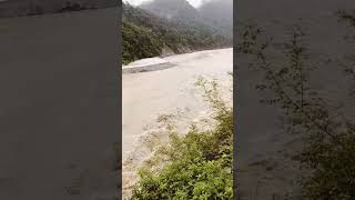 Teesta current situation shorts teestariver shortvideo [upl. by Stern113]