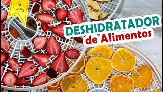 DESHIDRATADOR de ALIMENTOS Tipos y USOS by Marielly [upl. by Lemmueu]