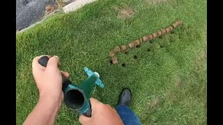 Propagating 🏡 Zoysia grass 🏡in an established lawn with ProPlugger tool DIY on the cheap save [upl. by Eseneg]