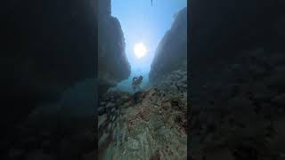 Manzanillo Colima Scuba Dive 4K [upl. by Lucey]