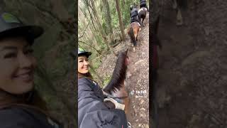 Horse Riding Adventures at Glenworth Valley [upl. by Luanni]