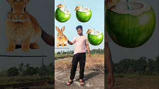 Rounding naryal Panirabbit 🐇 cat 🐈 elephant🐘 horse 🐎 animals neme VFX MAGIC videoshorts magic [upl. by Yoral]