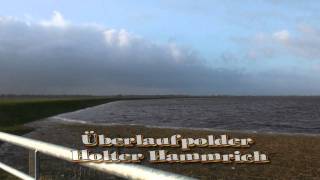 Land unter Überlaufpolder im LedaJümme Gebiet überflutet [upl. by Anan152]