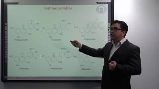 ANTHOCYANINS  PART1 Significance of anthocyanins Chemistry of anthocyanidins and anthocyanins [upl. by Gilberto]