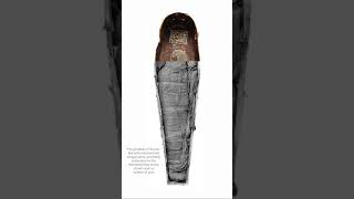 The Mummy of Amenhotep III Reburied in the Coffin of Seti Ii [upl. by Lashar]