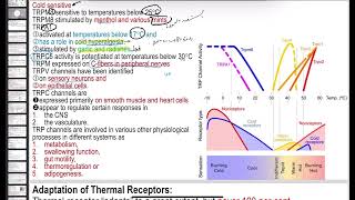 Sensory system5 types of thermal receptors and pain receptors [upl. by Gleich]