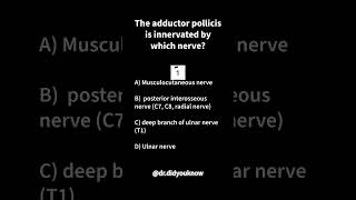 The adductor pollicis is innervated by which nerve physio [upl. by Lelia]