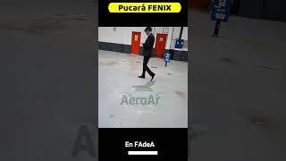 Pucará FENIX en FAdeA [upl. by Diskin]