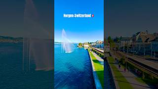 Discovering Horgen in Zurich Switzerland 🇨🇭  A Scenic Lakeside Town zurichlake switzerland👍🍀 [upl. by Nairot]