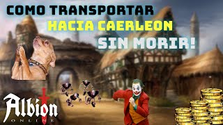 💀 COMO TRANSPORTAR POR ZONA ROJA💀  ALBION ONLINE 🔥 [upl. by Dlaregztif]