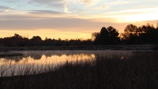 Lone Star Life Texas Duck Hunting  Frosty morning duck hunt  Late Season 201213 [upl. by Dranek905]