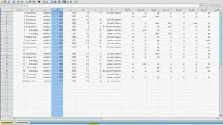 SPSS VideoSeminar  Teil 11 Datenexploration  Diagrammvorlagen speichern [upl. by Beck]