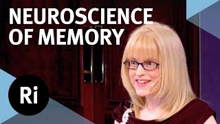 The Neuroscience of Memory  Eleanor Maguire [upl. by Kramer736]