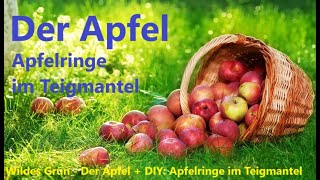 Wildes Grün  Der Apfel  DIY Apfelringe im Teigmantel [upl. by Ahseetal403]