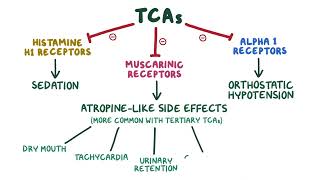 Tricyclic Antidepressants pharmacology 🔥OSMOSISFull mechanism side effects selflessmedicose [upl. by Davita]