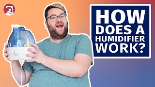 How Does a Humidifier Work [upl. by Aniles]