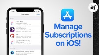 Quick Tip How To Manage Subscriptions on iOS [upl. by Eisso364]