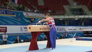 Nile Wilson  GOLD  pommel horse  Event Finals  2014 Junior Euros [upl. by Diskson511]