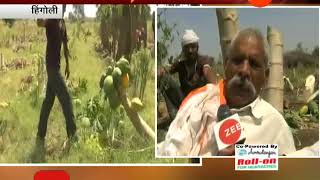 Hingoli  Farmer Destroy Papaya Tree For Not Getting Market Price [upl. by Notanhoj]