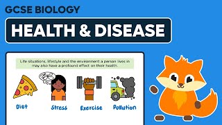 Health amp Disease  GCSE Biology [upl. by Ulrikaumeko]