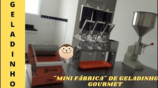 Saiba tudo sobre a minha ¨MINI FÁBRICA¨ de geladinho gourmet onde eu faço as delícias geladas [upl. by Crissy512]