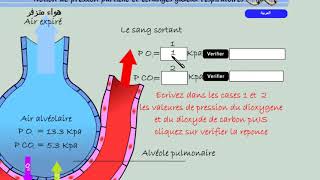 le mécanisme des échanges gazeux respiratoires dans les alvéoles pulmonaires entre le sang et lair [upl. by Ahsiekar]