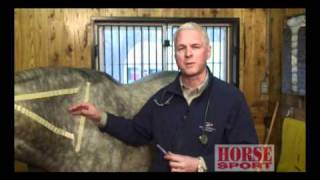 Equine Intramuscular Injections [upl. by Felton]