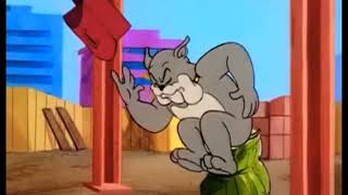 Tom and jerry comedy  Tom and jerry cartoon [upl. by Eppie]