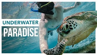 🇮🇩 INSANE Subwinging amp Snorkeling in Gili Meno Island Vlog Underwater Paradise [upl. by Lurlene562]