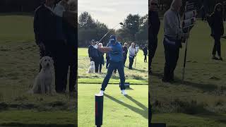 Dog Watches Padraig Harrington Smokes 3 Wood Tee Shot [upl. by Yam]