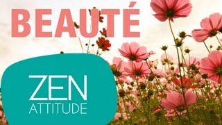 Zen attitude  Beauté [upl. by Lundeen]