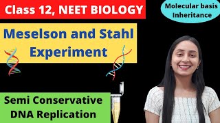 Meselson and Stahl Experiment  Class 12 Genetics  NEET Biology [upl. by Haseena474]