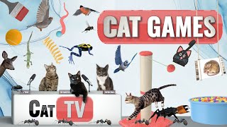 CAT Games  Ultimate Cat TV Compilation Vol 45  2 HOURS 🐝🐞🦋🦎🦜🐜🐭🧵 [upl. by Farnham]