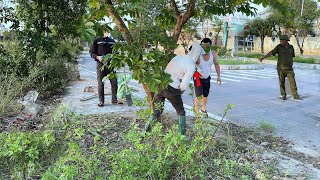 The Rich Mans Surprising Reaction When We Cleaned Up the Dense Grass in the Luxury Neighborhood [upl. by Inava]