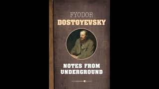 Notes from Underground Novella by Fyodor Dostoevsky Full Hindi Audiobook [upl. by Hugo977]