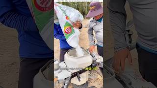 Fertilizer drones and tree climbing machines।😱shortvideo amazingsfacts [upl. by Grussing]