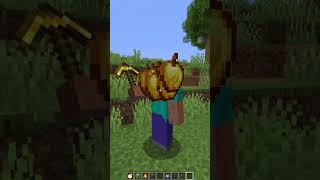 Ping Challenge vs Laggy Village shorts minecraft meme [upl. by Acquah696]