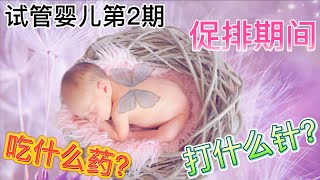 试管婴儿第2期促排期间打什么针吃什么药？What medicine and injection do we need take for egg retrieval [upl. by Gian]