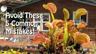 Venus Flytrap  5 Common Mistakes to Avoid for a Vibrant Plant [upl. by Eiralav]