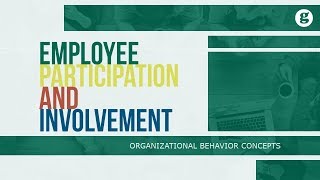 Employee Participation and Involvement [upl. by Bernetta249]