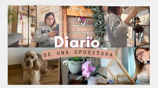 VLOG Unos Días Conmigo Estudio Orden En Casa [upl. by Edgerton943]