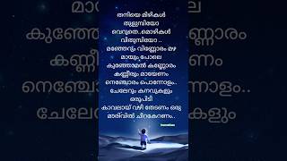 Thaniye mizhikal 🤍guppy thaniyemizhikal song malayalamsongs lyricswhatsappstatus lyrics [upl. by Etnaud]