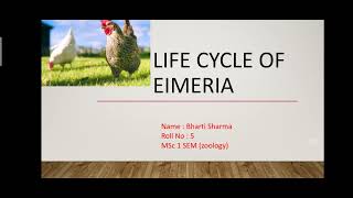 lifecycle of Eimeria [upl. by Harris]