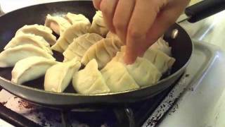 How to make Gyoza [upl. by Roth]