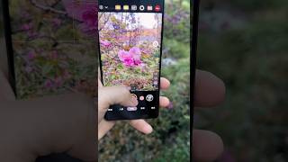 xiaomi mix 4 global rom  12\256 GB  mi mix 4 camera test  shorts [upl. by Olegna]