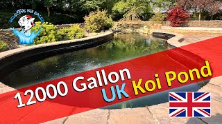 Superb 12000 Gallon Koi Pond UK [upl. by Latoye]