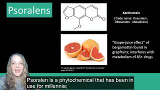 Plant Secondary Metabolites Phenolics [upl. by Eitsirc]