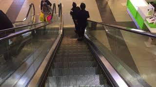 OTIS Escalators  Polo Park Mall Winnipeg MB [upl. by Ludlow]