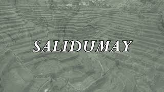 Salidumay  Music of Cordillera  Minus one  Instrumental [upl. by Mccormick]