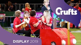 The Good Citizen Dog Scheme Display  Crufts 2019 [upl. by Siver]